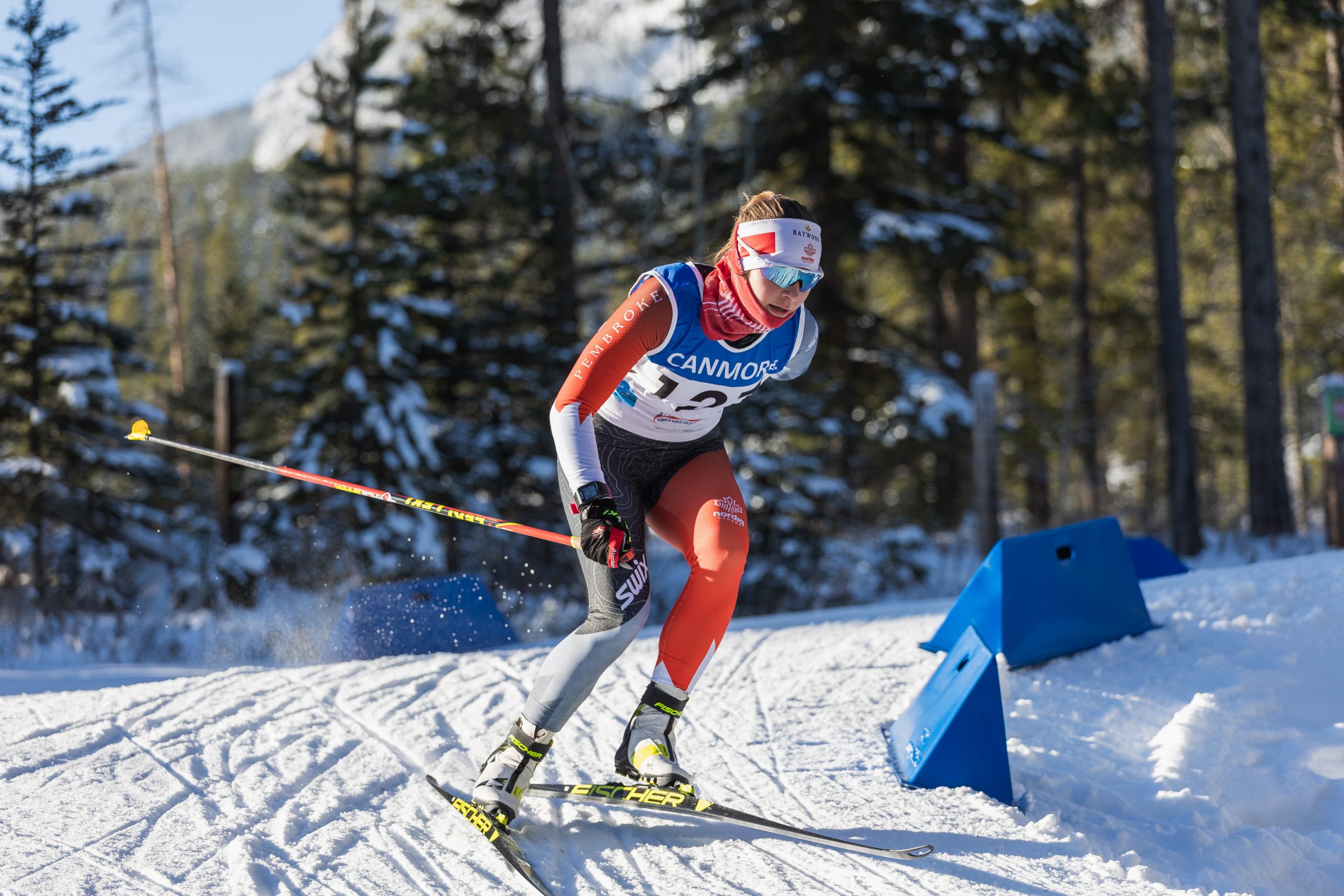A Paralympic nordic skier glides over a snow-coverd track in a forest setting.